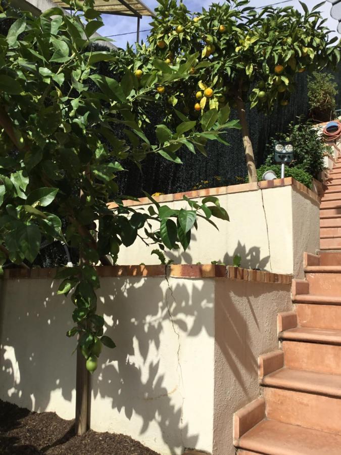 Villa Paradiso, Logement Avec Piscine, Nice Nord Exterior foto